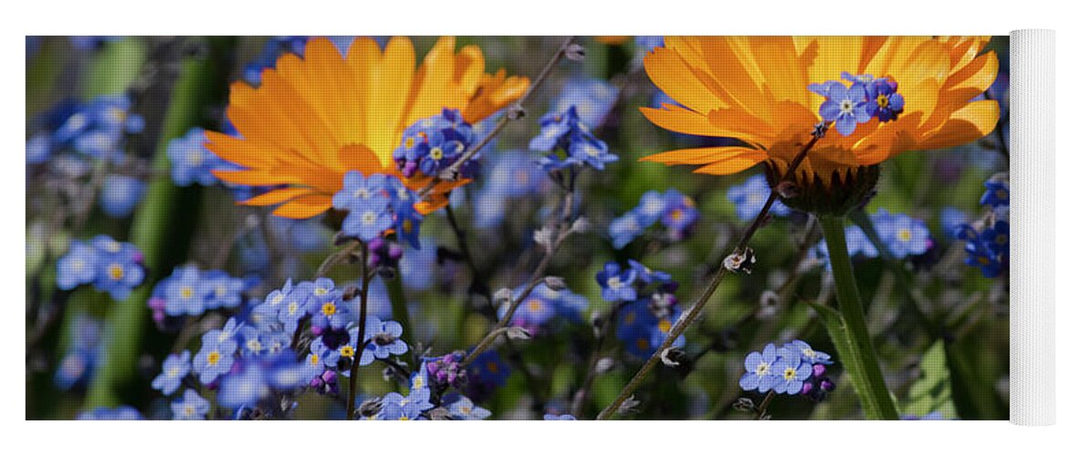 Orange Yoga Mat featuring the photograph Forget-Me-Not Marigold by Terri Waters