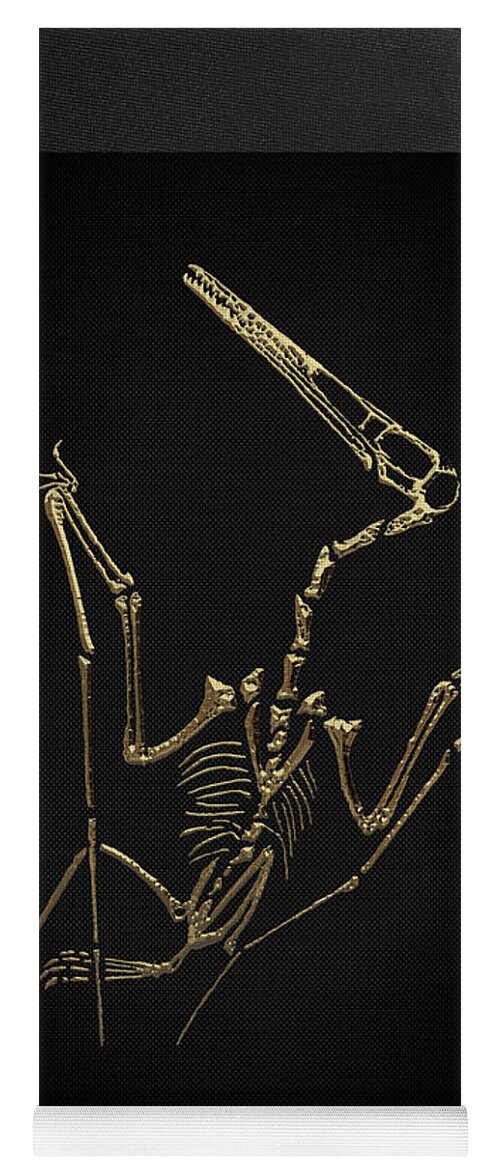 'fossil Record' Collection By Serge Averbukh Yoga Mat featuring the digital art Fossil Record - Gold Pterodactyl Fossil on Black Canvas #4 by Serge Averbukh