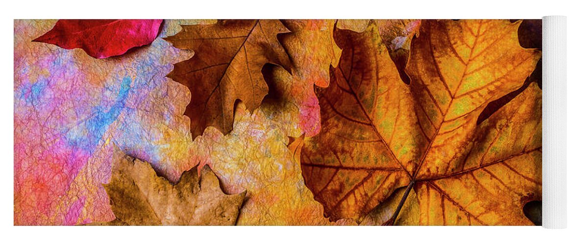 One Yoga Mat featuring the photograph Four Autumn Leaves by Garry Gay