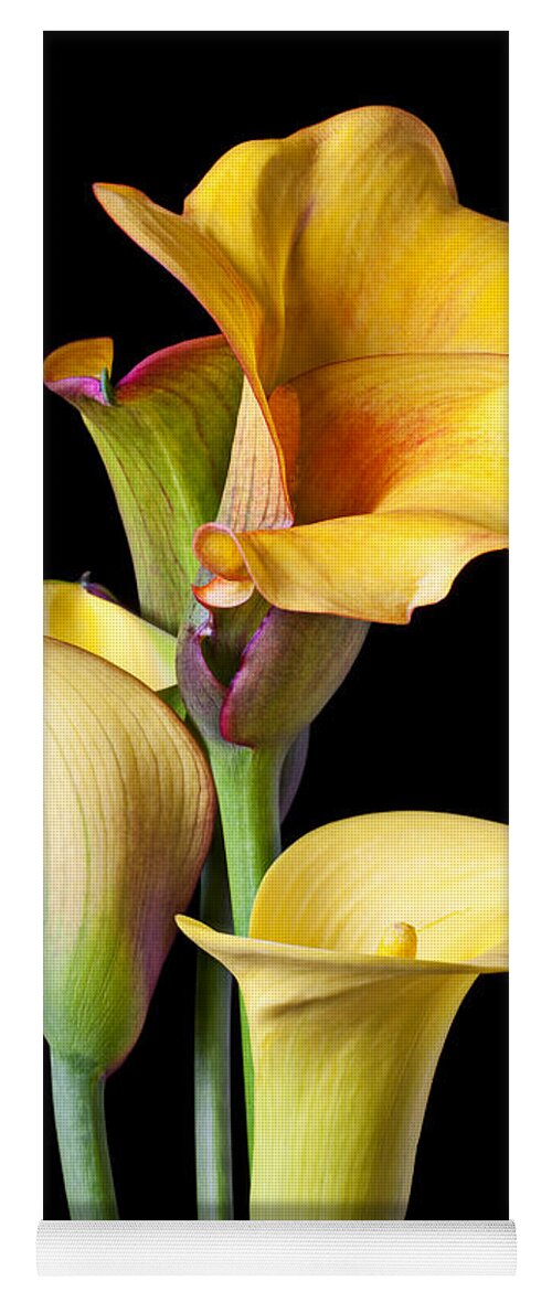 Calla Lily Yoga Mat featuring the photograph Four calla lilies by Garry Gay