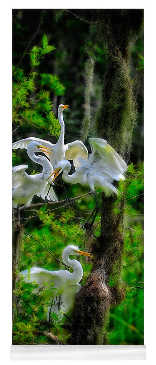 Birds Yoga Mat featuring the photograph Four Egrets in Tree by Harry Spitz