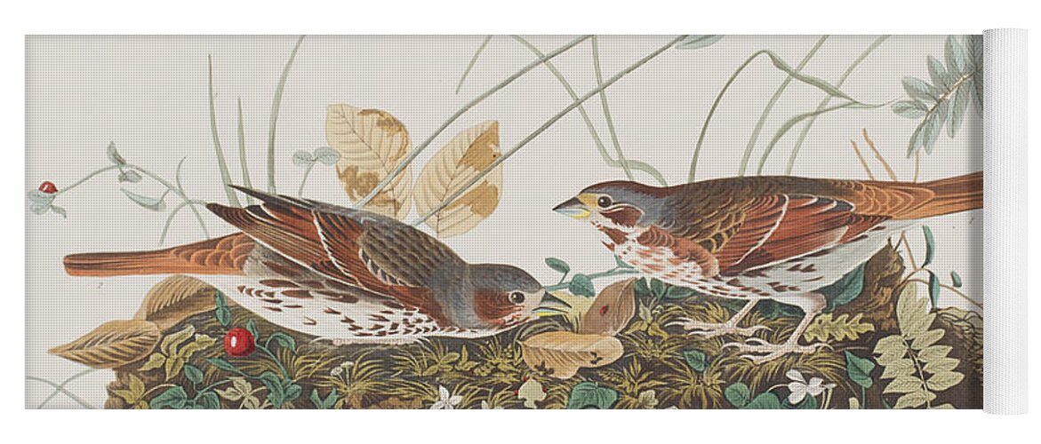 Audubon Yoga Mat featuring the painting Fox Sparrow by John James Audubon