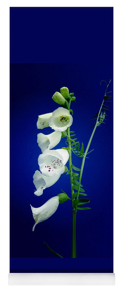 Foxgloves On Blue Yoga Mat featuring the photograph Foxgloves On Blue by Mike Breau