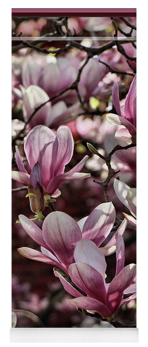 Magnolias Yoga Mat featuring the photograph Framed Sun Kissed Magnolias by Sandra Huston