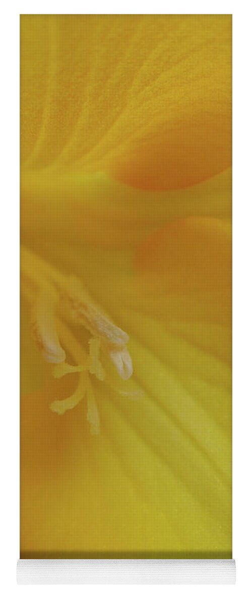 Flower Yoga Mat featuring the photograph Friendly Offer by Donna Blackhall
