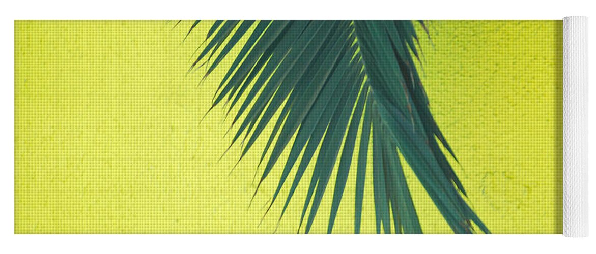 Palm Tree Yoga Mat featuring the photograph Frond by Maggy Marsh