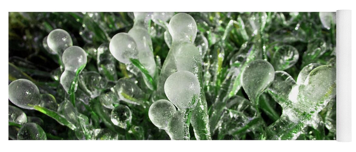 Nature Yoga Mat featuring the photograph Frosted Grass by Harold Zimmer