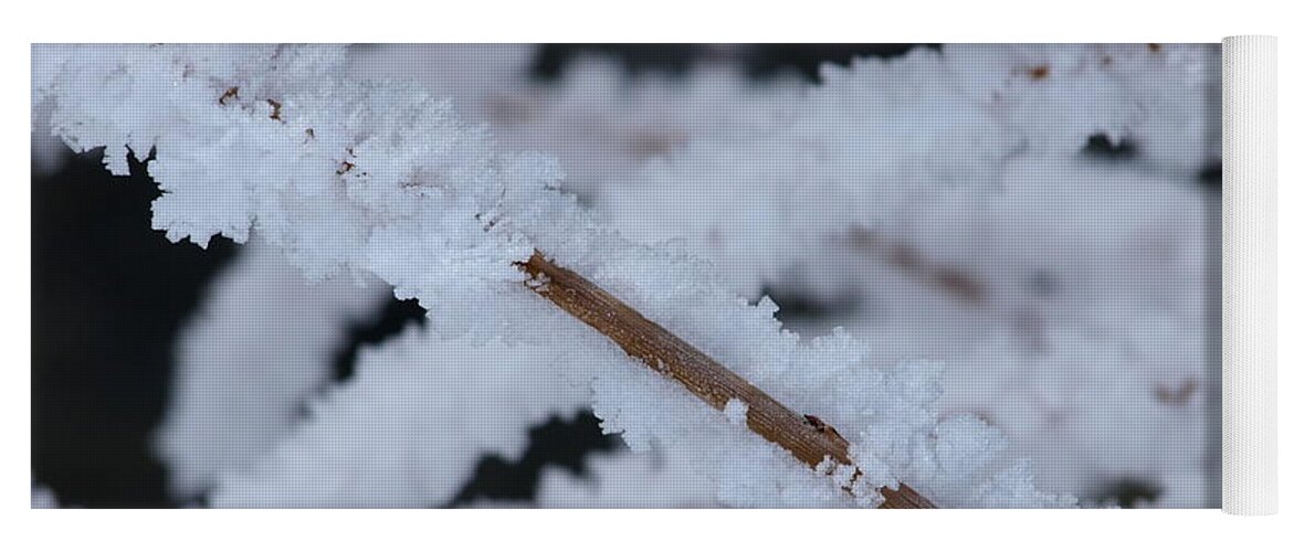 Frost Yoga Mat featuring the photograph Frosted Twigs by DeeLon Merritt