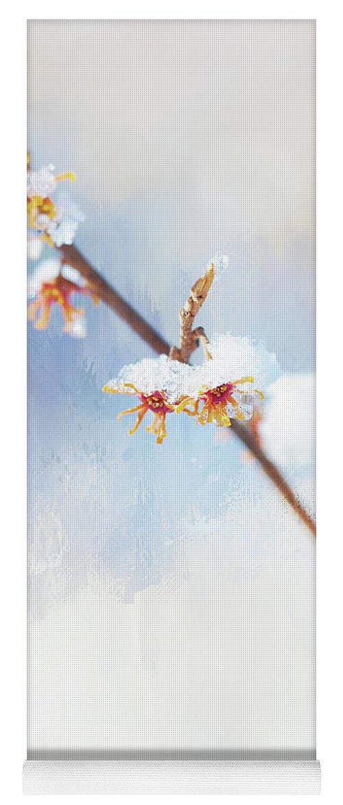 Witch Hazel Yoga Mat featuring the photograph Frosted Witch Hazel Blossoms by Anita Pollak