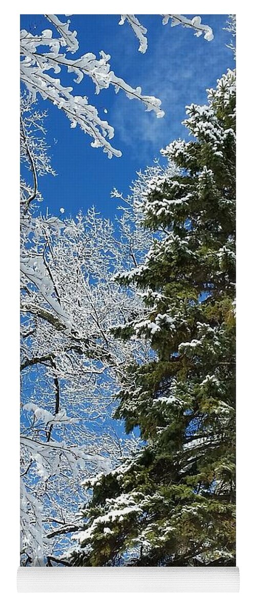 Winter Yoga Mat featuring the photograph Frozen Evergreen by Vic Ritchey
