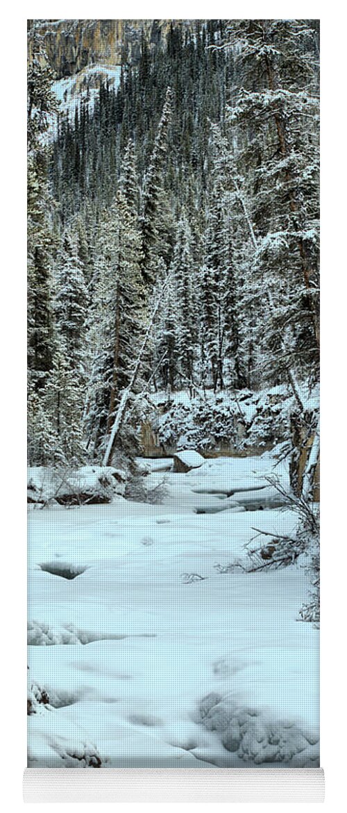 Beauty Creek Yoga Mat featuring the photograph Frozen Jasper Portrait by Adam Jewell