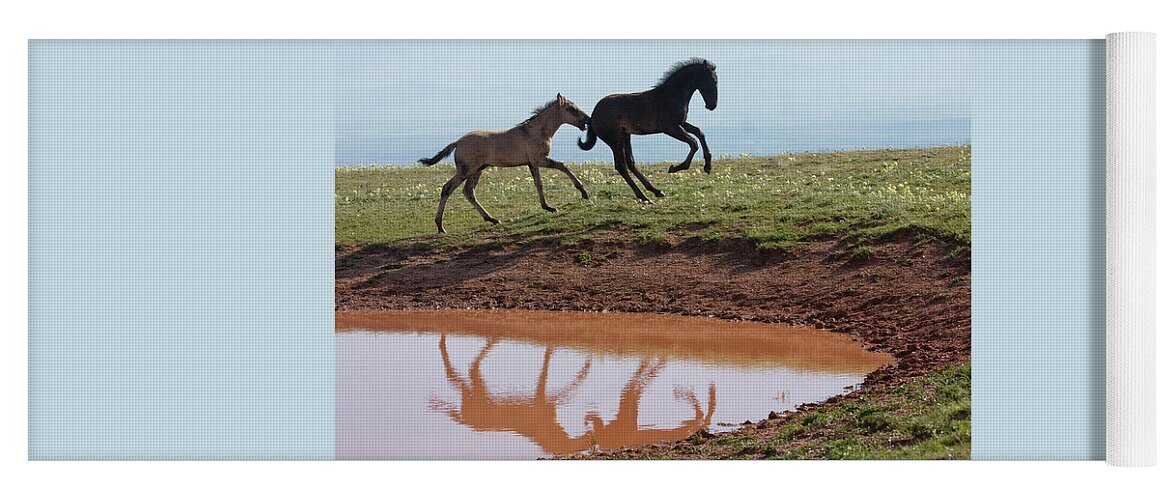 Wild Horse Yoga Mat featuring the photograph Fun in the Rockies- Wild Horse Foals by Mark Miller