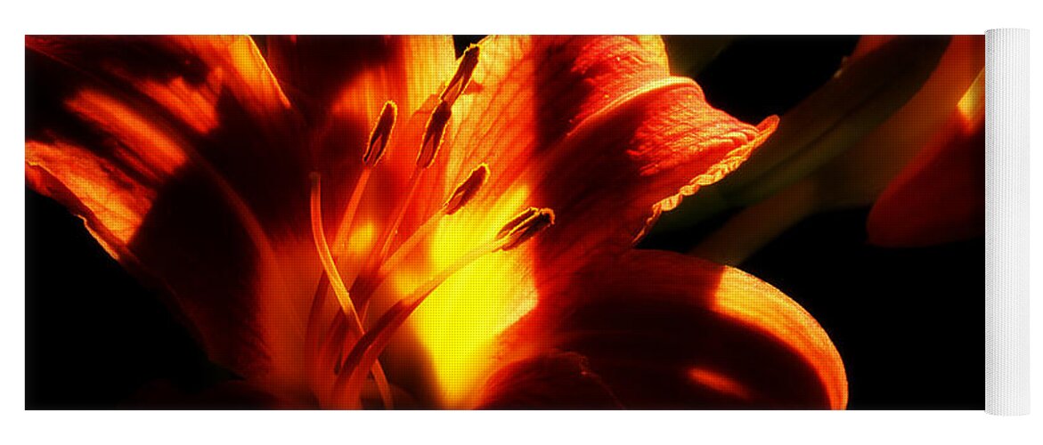 Day Lilies Yoga Mat featuring the photograph Garden Flames by Michael Eingle