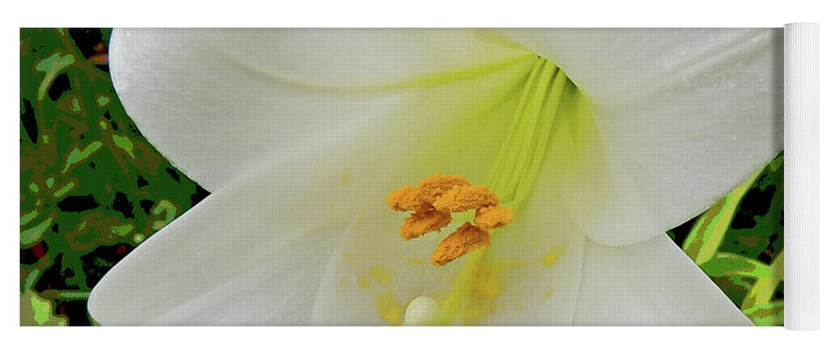 Flower Yoga Mat featuring the photograph Garden Lily Posterized Background by Marian Bell