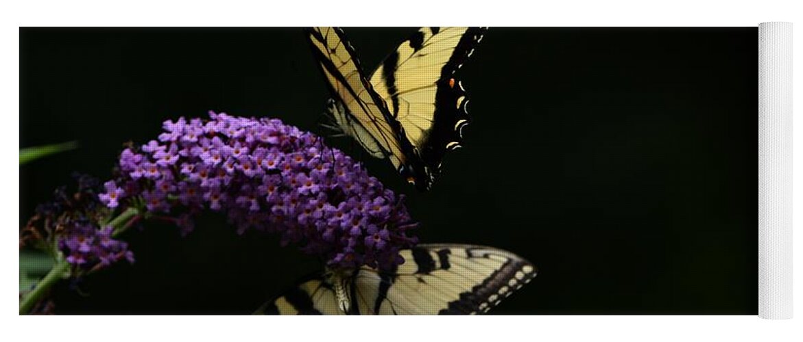 Butterfly Yoga Mat featuring the photograph Garden of Eden by Carolyn Mickulas