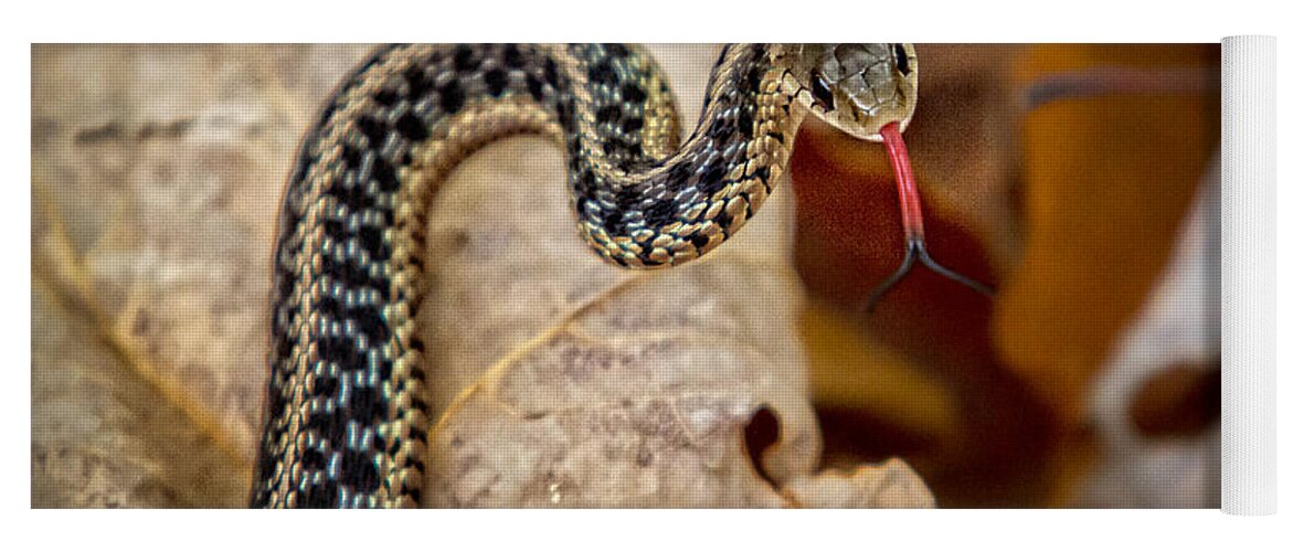 Snake Yoga Mat featuring the photograph Garden Snake by Eleanor Abramson