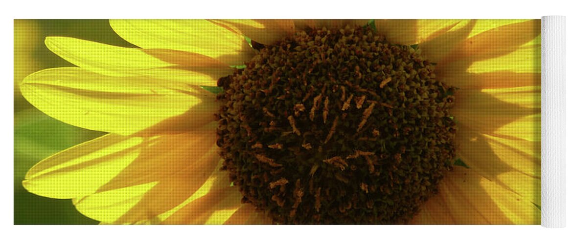 Flowers Yoga Mat featuring the photograph Garden Sunshine by Cris Fulton
