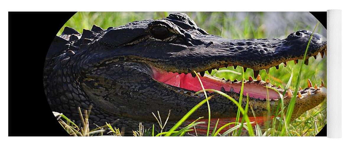 Alligator Yoga Mat featuring the photograph Gator Grin .png by Al Powell Photography USA