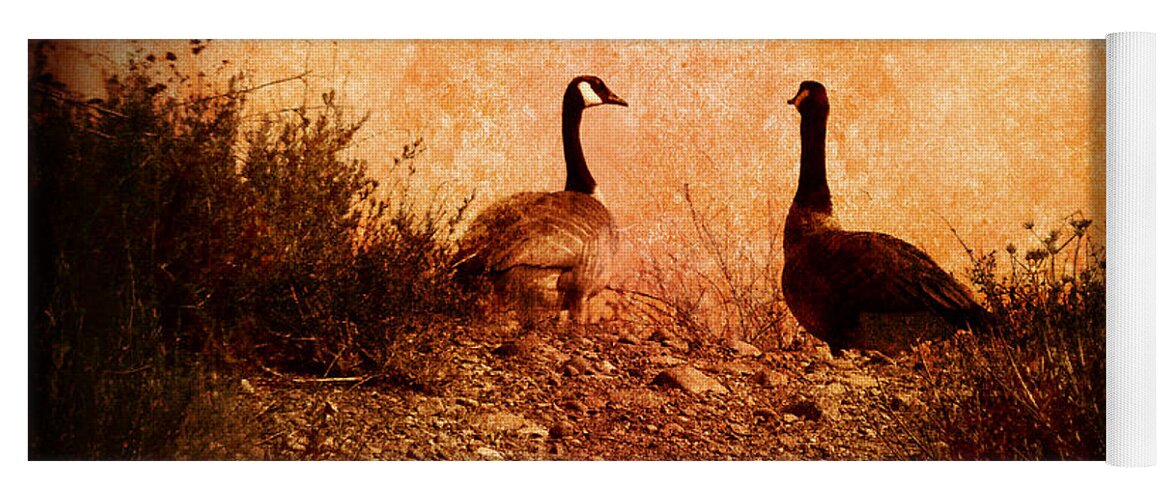 Nature Yoga Mat featuring the photograph Geese on a Hill by Laura Iverson