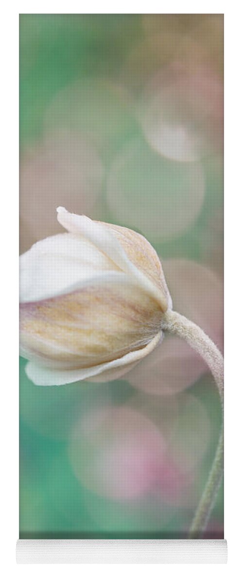 Gentle Yoga Mat featuring the photograph Gentle White Flower 2 by Lilia D