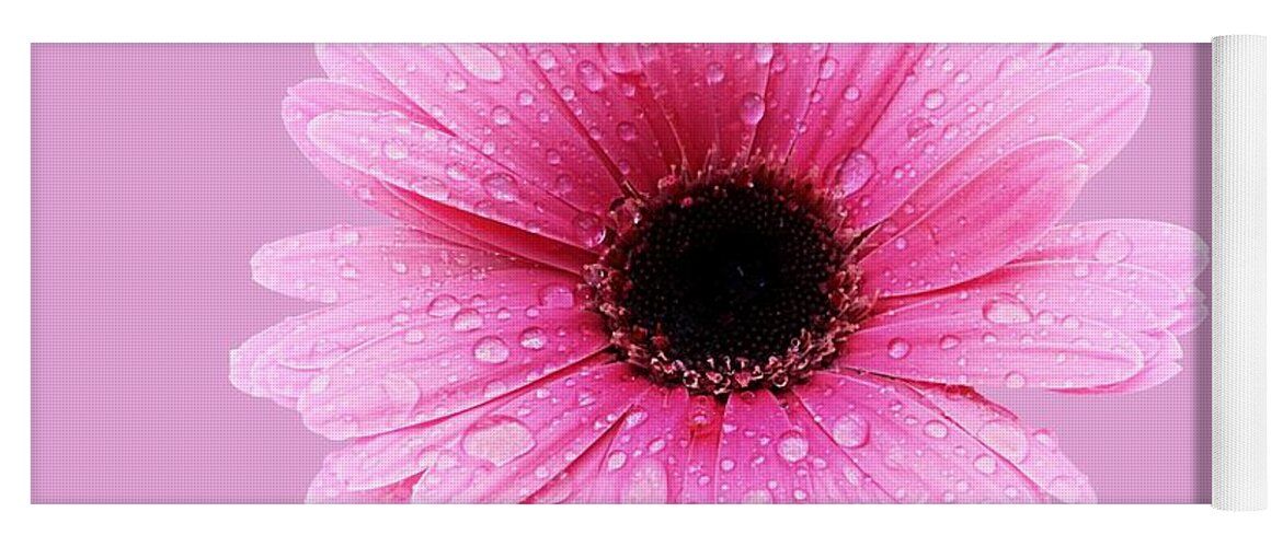 Flower Yoga Mat featuring the photograph Gerbera Pink - Daisy by MTBobbins Photography