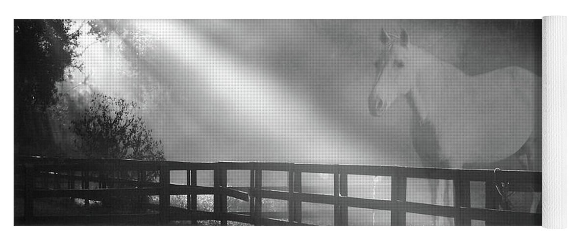 Sunrise Yoga Mat featuring the photograph Ghost Horse by Jerry Griffin