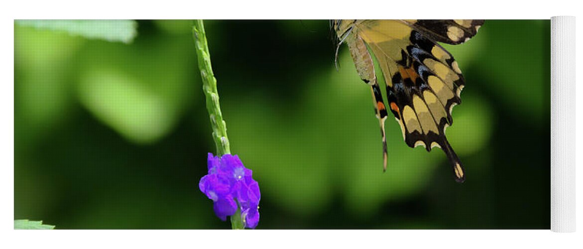 Butterfly Yoga Mat featuring the photograph Giant Swallowtail Butterfly Landing on a Purple Flower by Artful Imagery