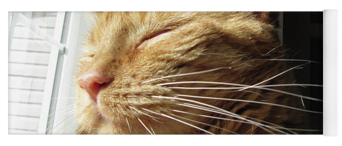 Ginger Tabby Yoga Mat featuring the photograph Ginger Tabby by Donna L Munro