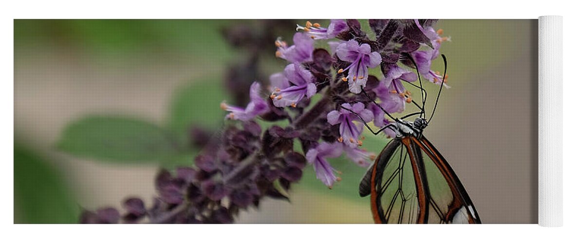 Glasswing Yoga Mat featuring the photograph Glasswing on flowers by Ronda Ryan