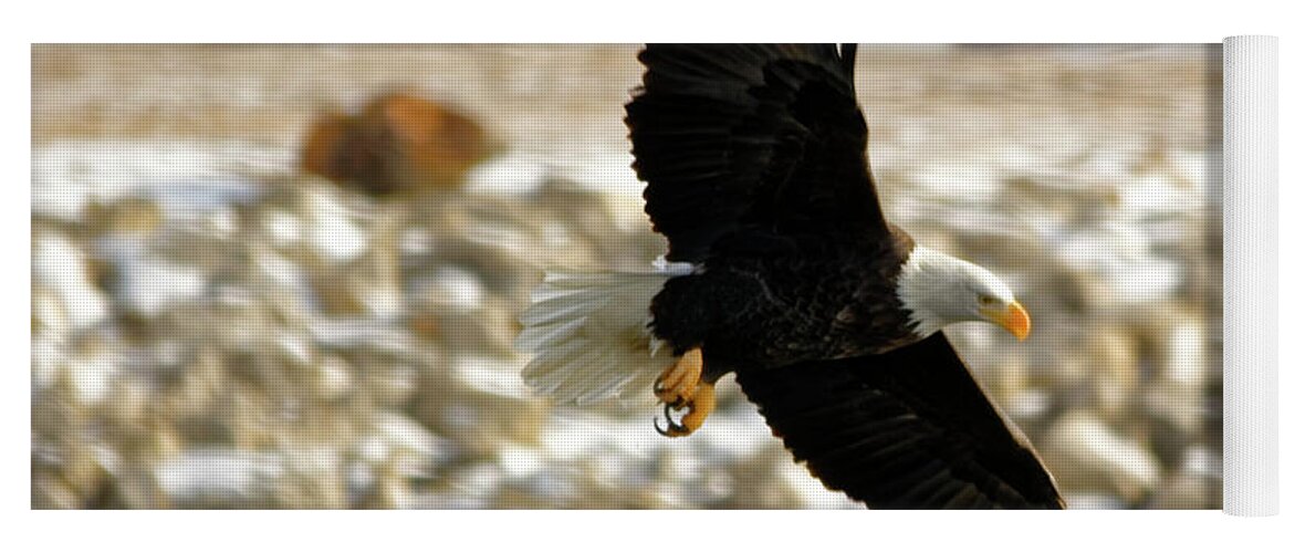Bald Eagle Yoga Mat featuring the photograph Gliding by Peter Ponzio