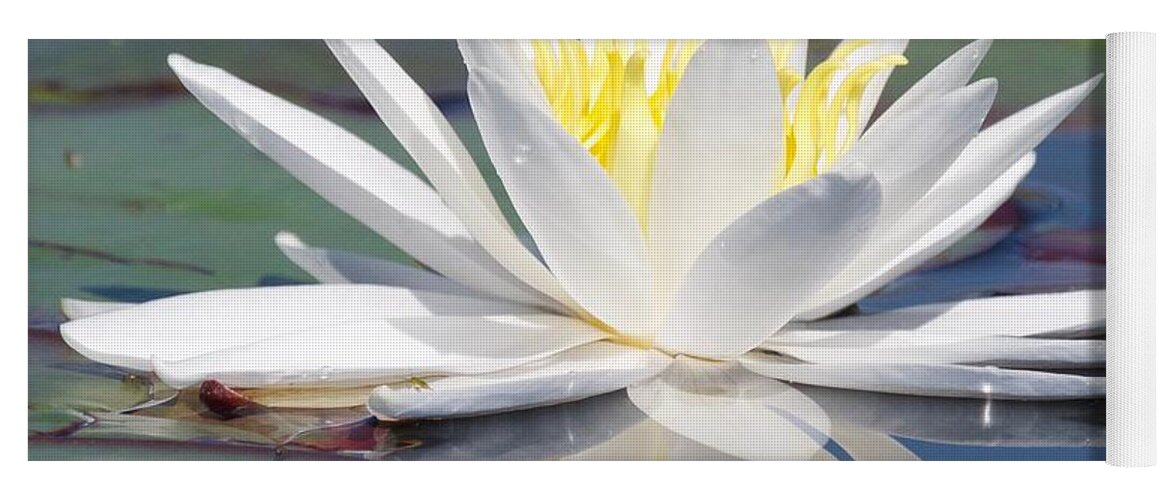 White Yoga Mat featuring the photograph Glorious White Water Lily by Michael Peychich