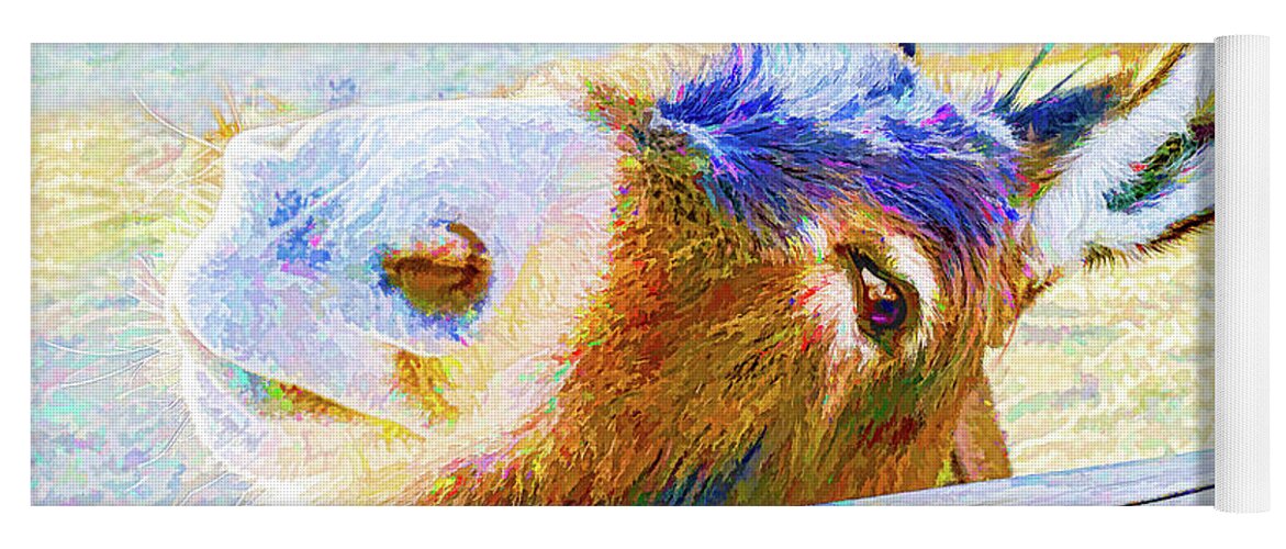 Donkey Yoga Mat featuring the photograph Go Jack by Jennifer Grossnickle