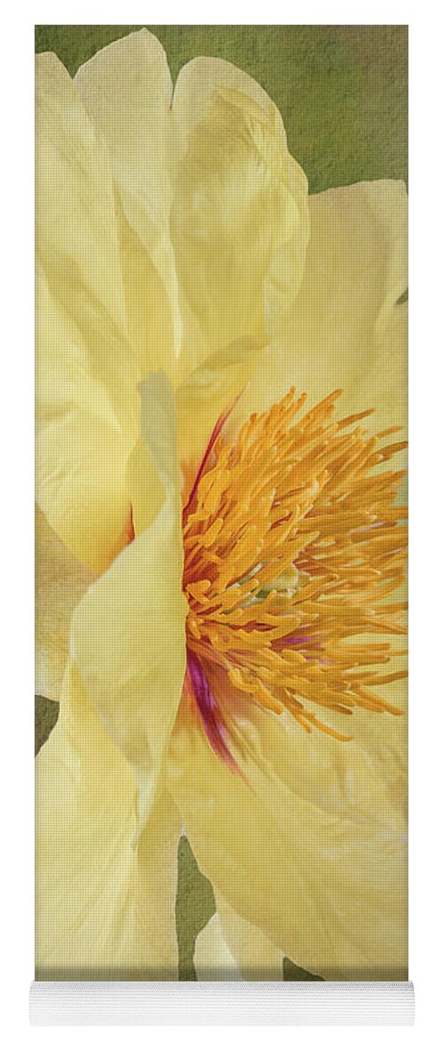 Peony Yoga Mat featuring the photograph Golden Bowl Tree Peony Bloom - Profile by Patti Deters