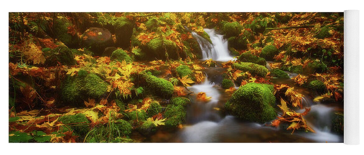 Fall Yoga Mat featuring the photograph Golden Creek Cascade by Darren White