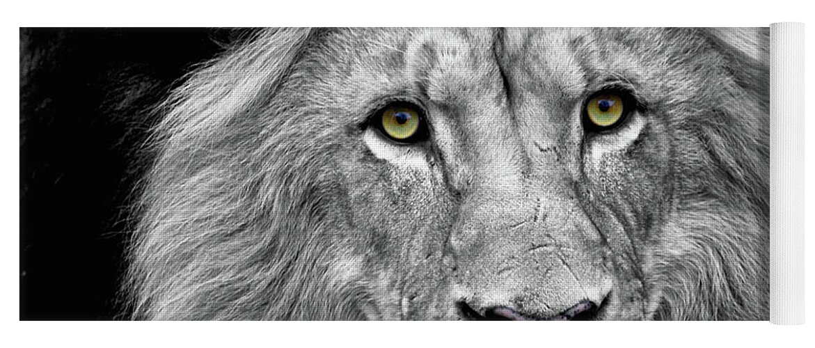 Lion Yoga Mat featuring the photograph Golden Ees by Steve and Sharon Smith