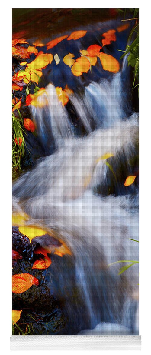 Jenny Rainbow Fine Art Photography Yoga Mat featuring the photograph Golden Glimpses of Autumn. Production by Nature by Jenny Rainbow