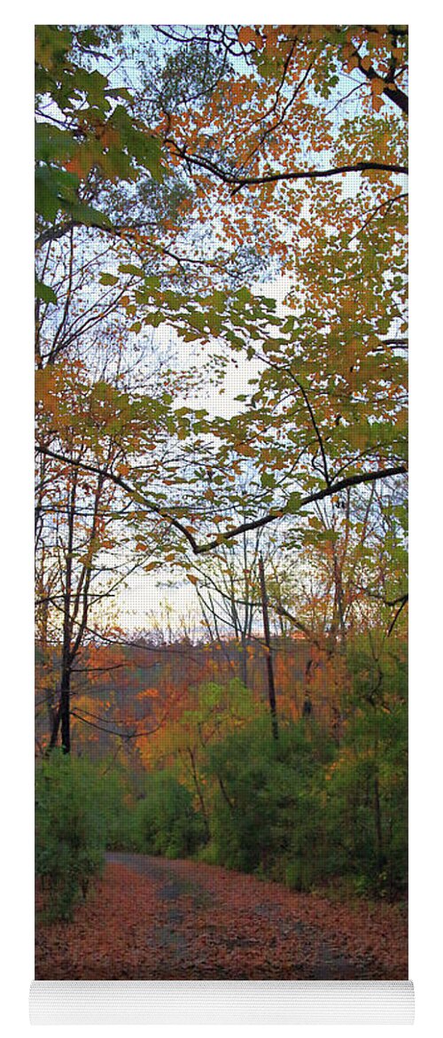 Golden Hour Of Autumn Yoga Mat featuring the photograph Golden Hour of Autumn by PJQandFriends Photography
