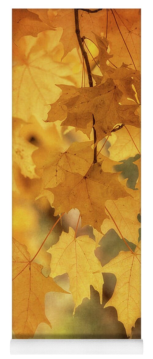 Maple Leaves Yoga Mat featuring the photograph Golden Maple by Saija Lehtonen