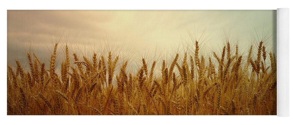 Wheat Yoga Mat featuring the photograph Golden Wheat by Kae Cheatham