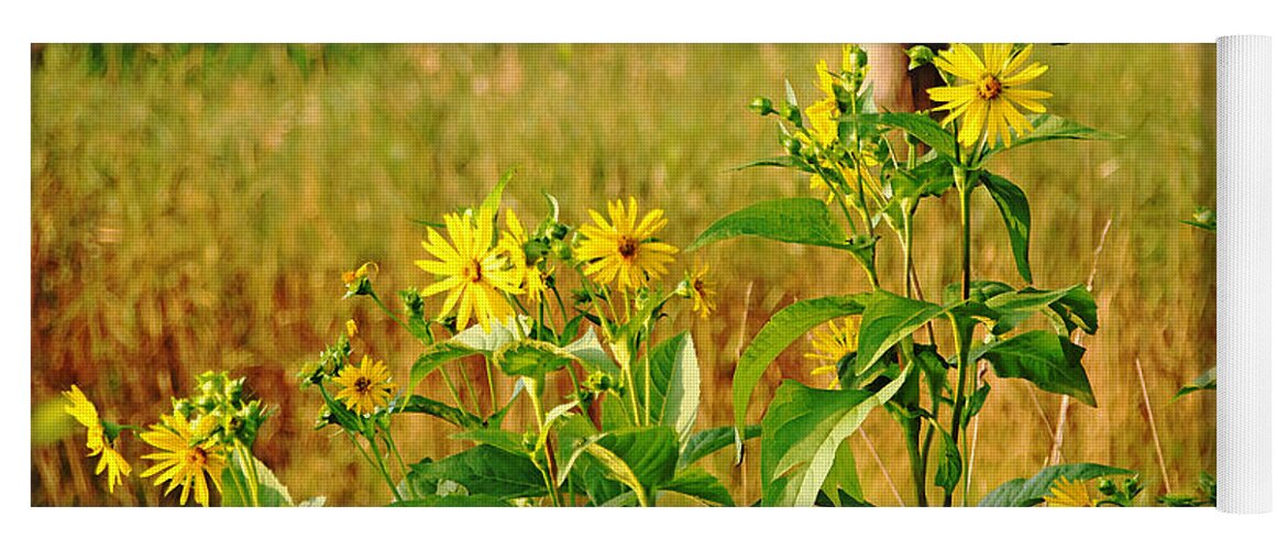 Cup Plant Yoga Mat featuring the photograph Golden Yellow Ray Florets by Debbie Oppermann