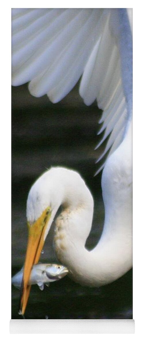 Egret Yoga Mat featuring the photograph Gotcha by Christopher J Kirby