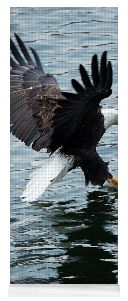 Bald Eagle Yoga Mat featuring the photograph Grabbing for Lunch by Michael Dawson