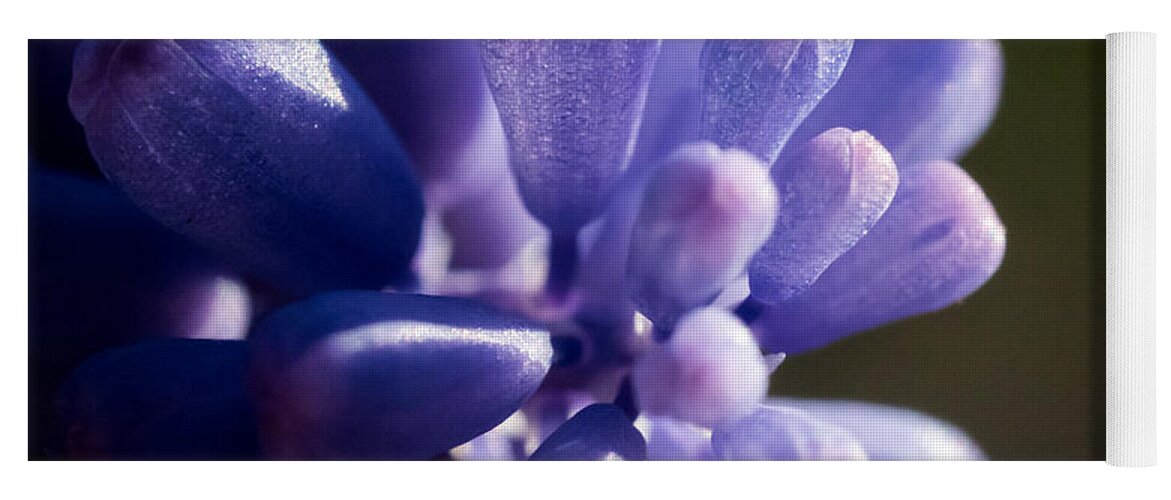 Jay Stockhaus Yoga Mat featuring the photograph Grape Hyacinth by Jay Stockhaus