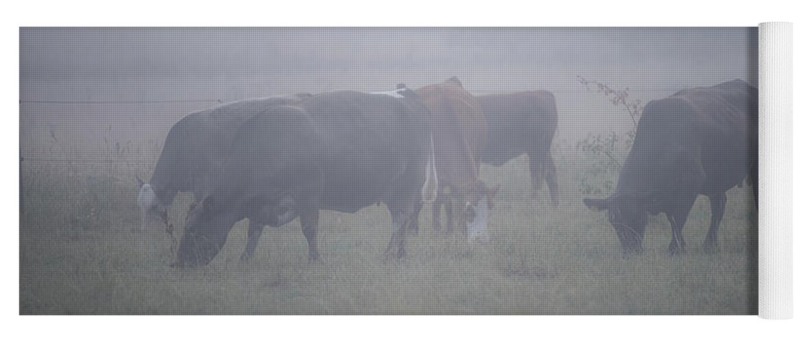 Cows Yoga Mat featuring the photograph Grazing cows in the mist by Torbjorn Swenelius