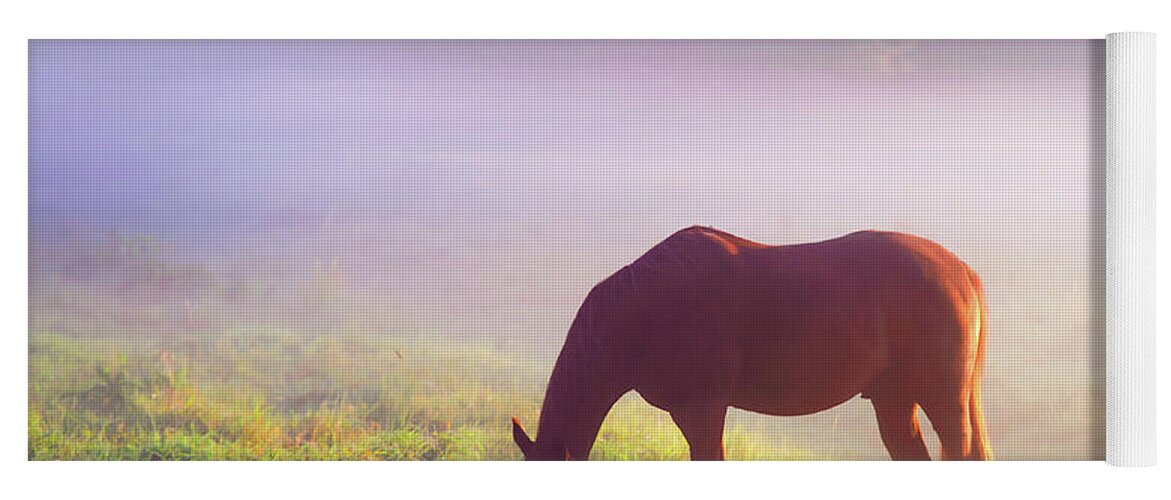 Jenny Rainbow Fine Art Photography Yoga Mat featuring the photograph Grazing Horse. Rural Holland by Jenny Rainbow