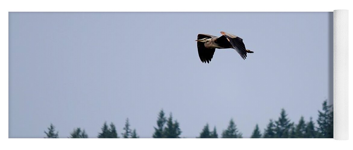 Great Blue Heron Yoga Mat featuring the photograph Great Blue Heron - 14 by Christy Pooschke