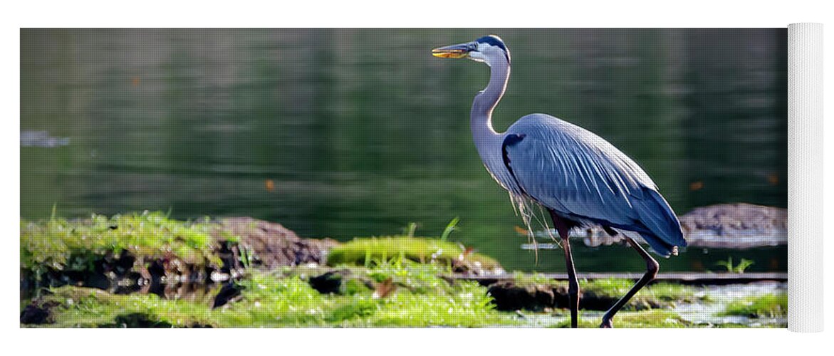 2d Yoga Mat featuring the photograph Great Blue Heron In Pond by Brian Wallace