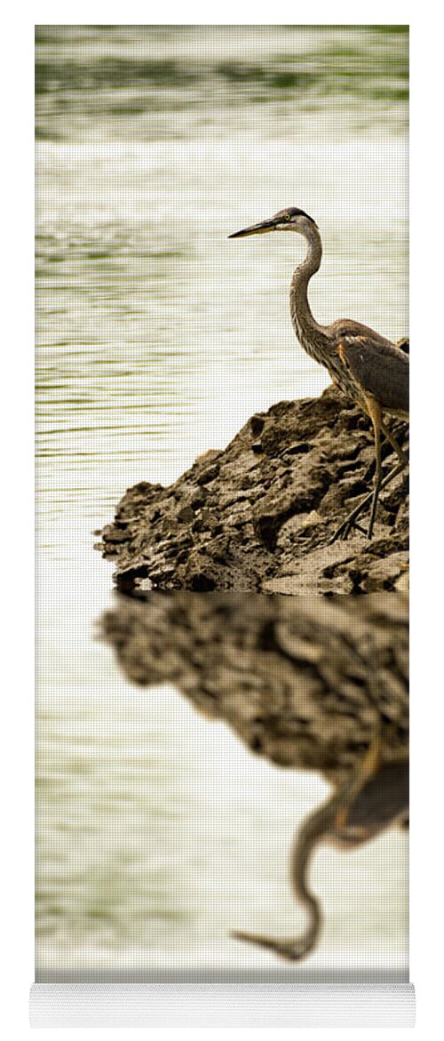 Great Blue Heron Yoga Mat featuring the photograph Great Blue Heron by Sam Rino