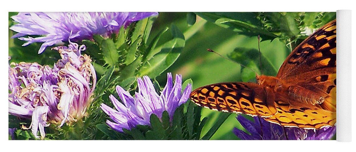 Eastern Great Spangled Fritillary Yoga Mat featuring the photograph Great Blue Star by Jennifer Robin