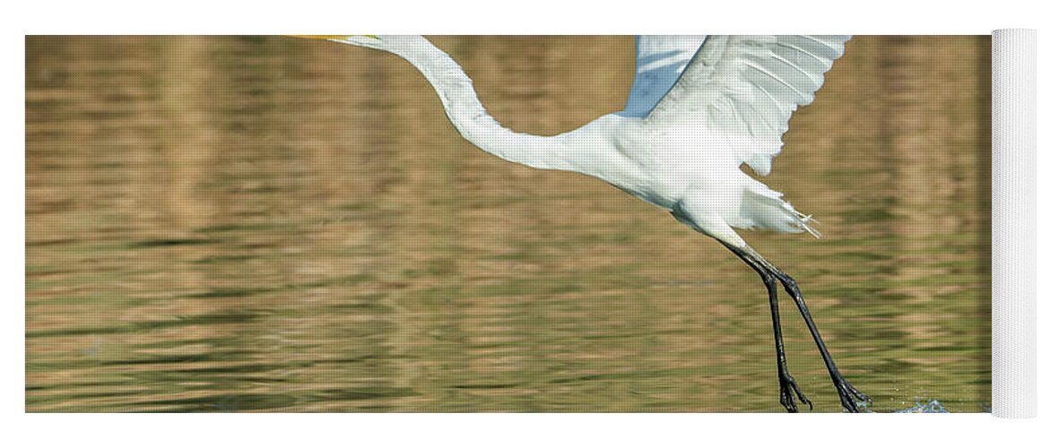 Great Yoga Mat featuring the photograph Great Egret 4715-091017-1cr by Tam Ryan